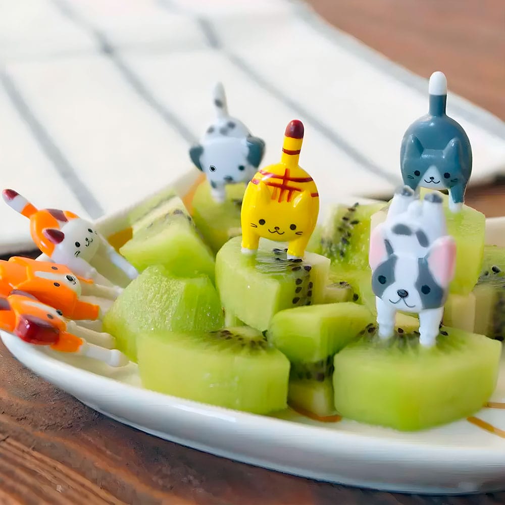 palillos de fruta para niños de perros y gatos
